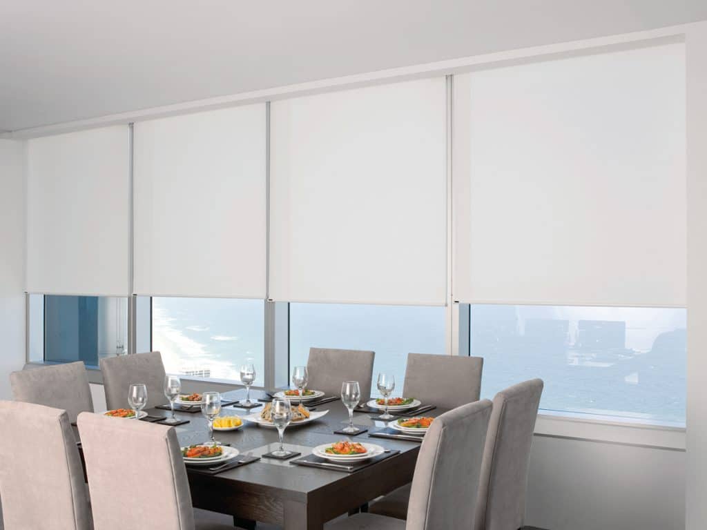 Window deals roller shades