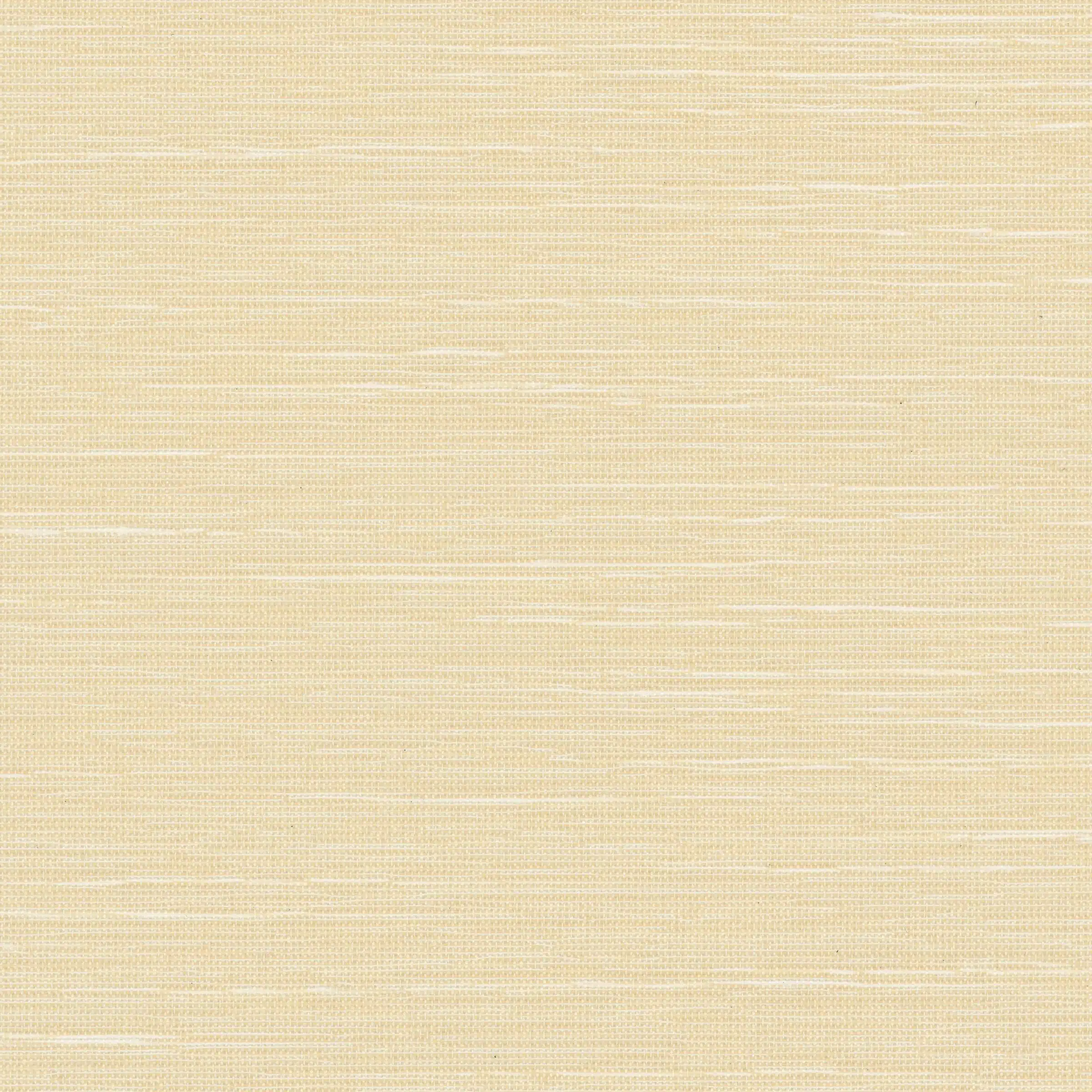 Cornfield
