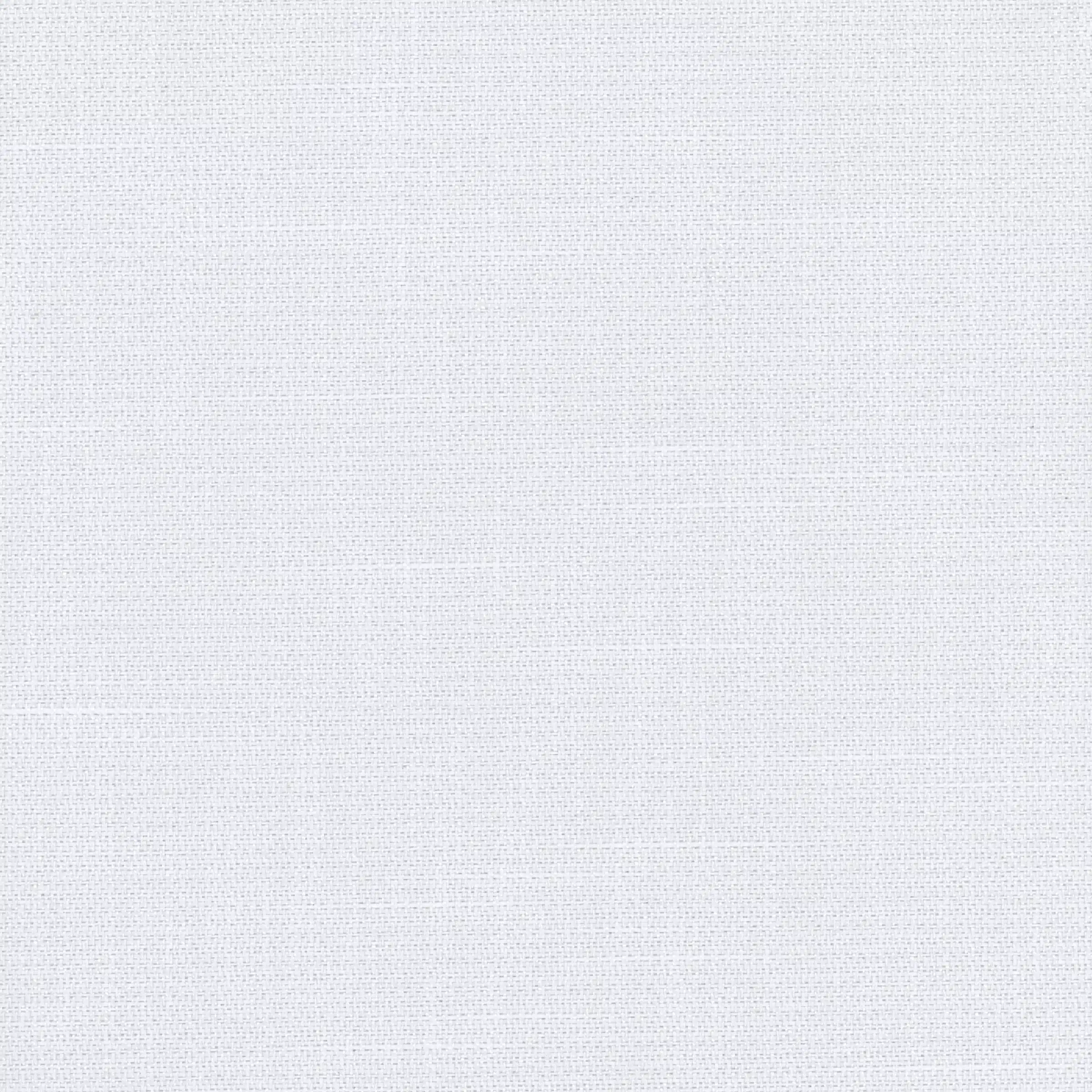 Polar White