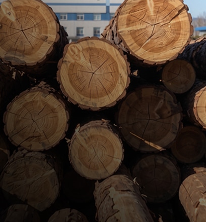 Prescription Wood Conditioning